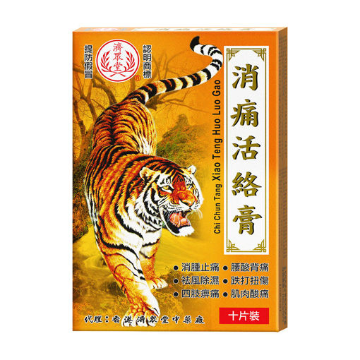 圖片 濟眾堂消痛活絡膏 1x10片裝